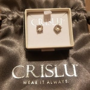 NWOT crislu stud earrings